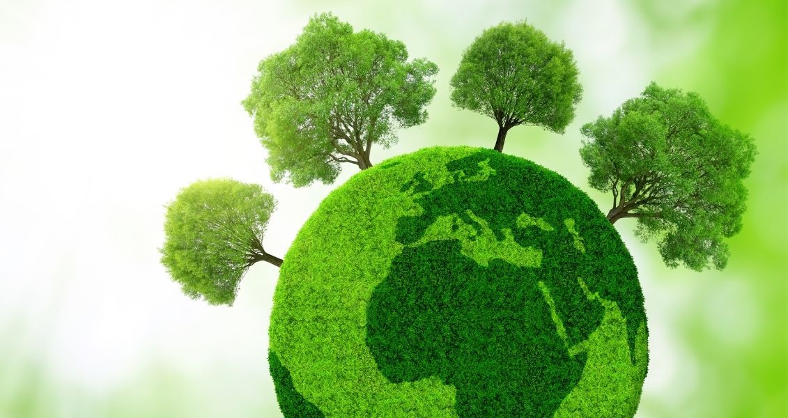 Menata Lingkungan Sekitar agar Lebih Tenang